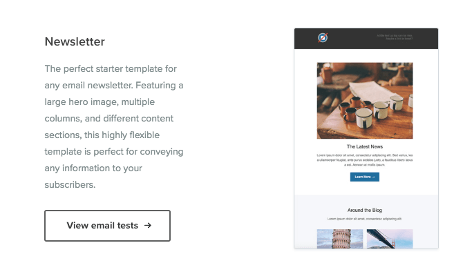 Litmus newsletter template