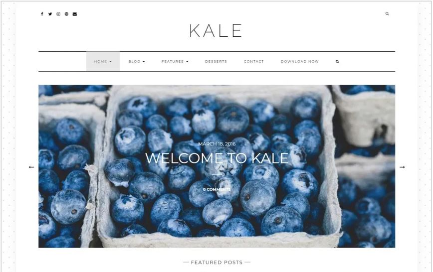 Kale food and restaurant wordpress theme