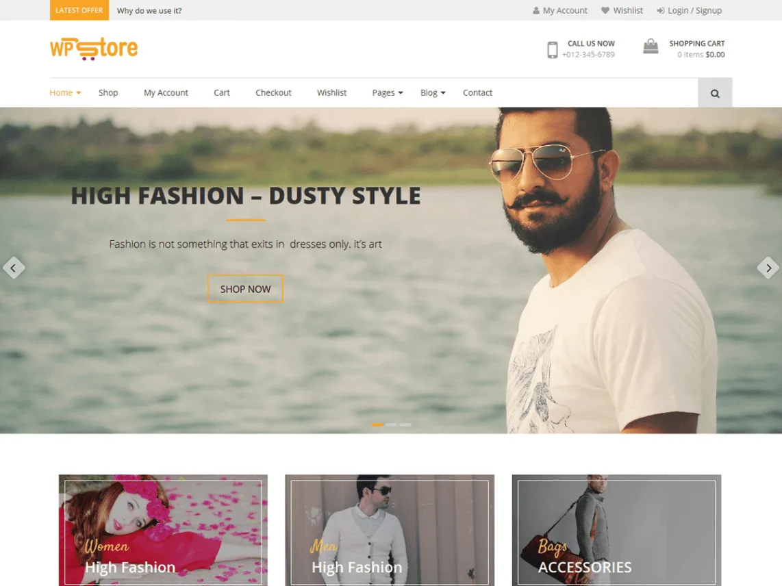 WP store theme